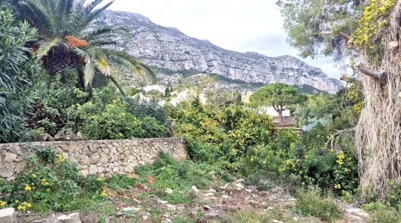 Alicante - Denia - 972m2