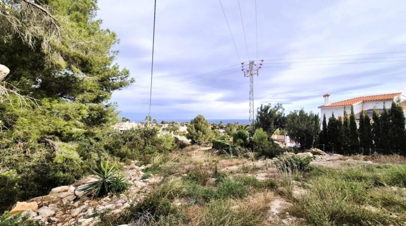 Alicante - Denia - 972m2
