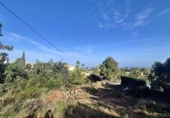 Urban land for sale on España, Dénia, ref: TR369579 photo