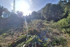 Foto 19