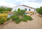 Detached villa with land for sale on España, Elche, ref: TR413876 photo