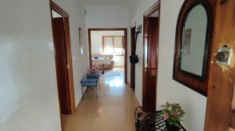 Alicante - Catral - 312m2