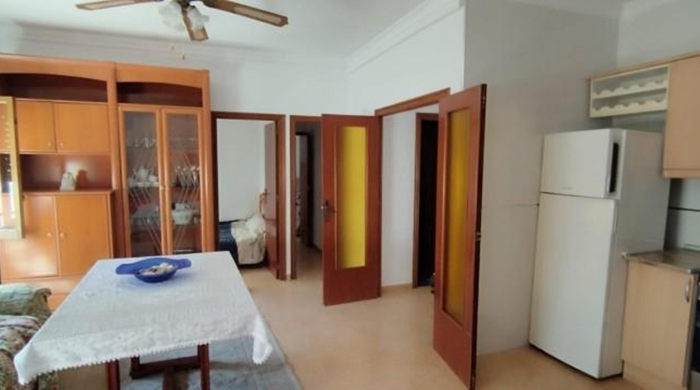 Alicante - Catral - 312m2