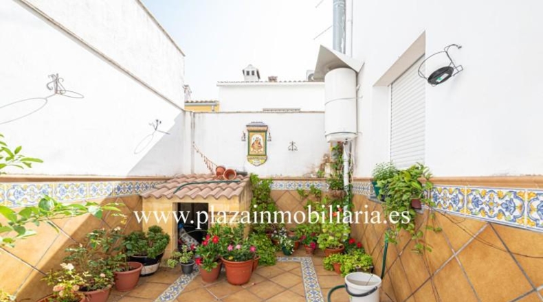 Córdoba - Lucena - 282m2