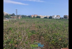 Almuñécar 300&nbsp;m²