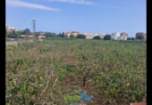 Detached villa with land for sale on España, Almuñécar, ref: TR413880 photo