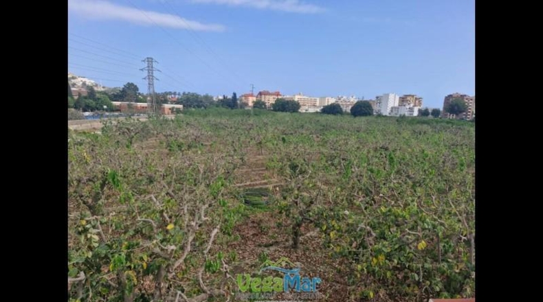 Granada - Almuñécar - 300m2
