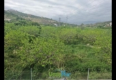 Detached villa with land for sale on España, Almuñécar, ref: TR413880 photo