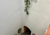 Casa de pueblo en venta en la España, Córdoba, ref: TR413882 foto