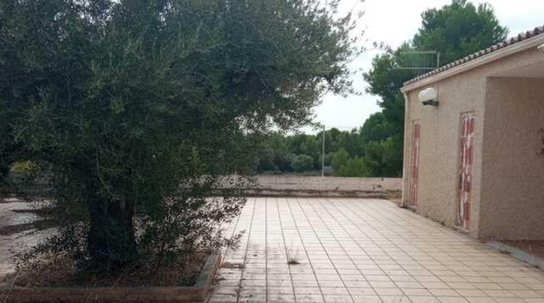 Castellón - Alcora - 455m2