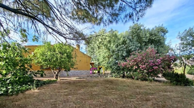 Badajoz - Badajoz - 5000m2