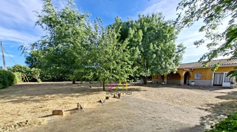 Badajoz - Badajoz - 5000m2