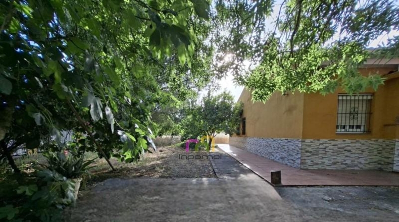 Badajoz - Badajoz - 5000m2