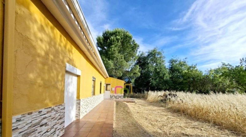 Badajoz - Badajoz - 5000m2
