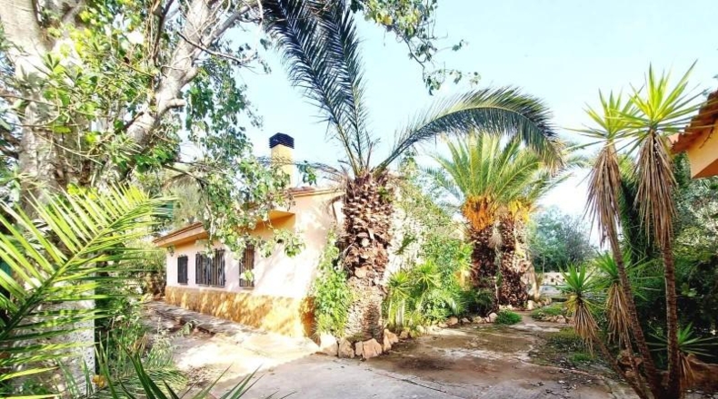 Valencia - Llíria - 1869m2