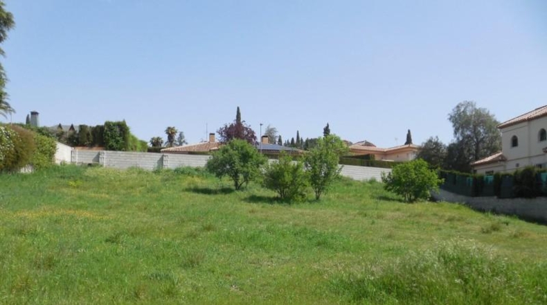Granada - Albolote - 1500m2