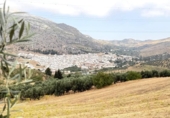 Casa de campo con terreno en venta en la España, Valle de Abdalajís, ref: TR413898 foto