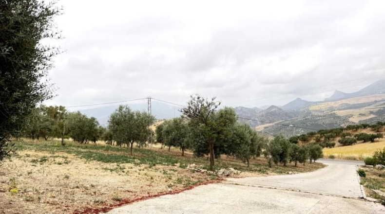 Málaga - Valle de Abdalajís - 5400m2