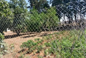 Chiclana de la Frontera 4900&nbsp;m²
