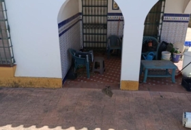 Chiclana de la Frontera 4900&nbsp;m²