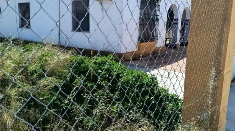 Cádiz - Chiclana de la Frontera - 4900m2
