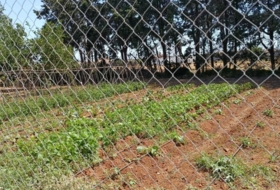 Chiclana de la Frontera 4900&nbsp;m²
