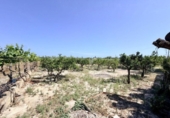 Casa de campo con terreno en venta en la España, la Marina, ref: TR413908 foto