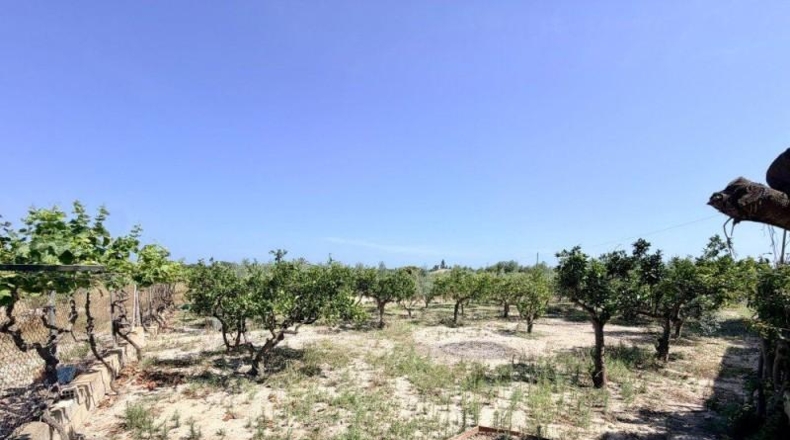 Alicante - la Marina - 1800m2