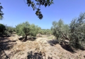 Casa de campo con terreno en venta en la España, la Marina, ref: TR413908 foto