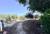 Casa de campo con terreno en venta en la España, la Marina, ref: TR413908 foto