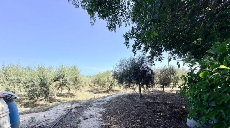 Alicante - la Marina - 1800m2