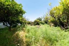 Palma 265&nbsp;m²