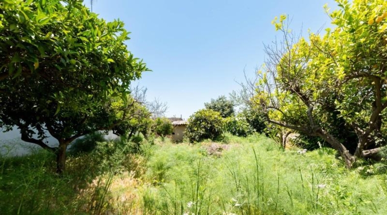 Islas Baleares - Palma - 265m2