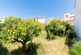 Palma 265&nbsp;m²