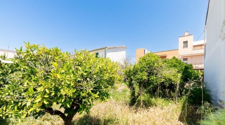 Islas Baleares - Palma - 265m2