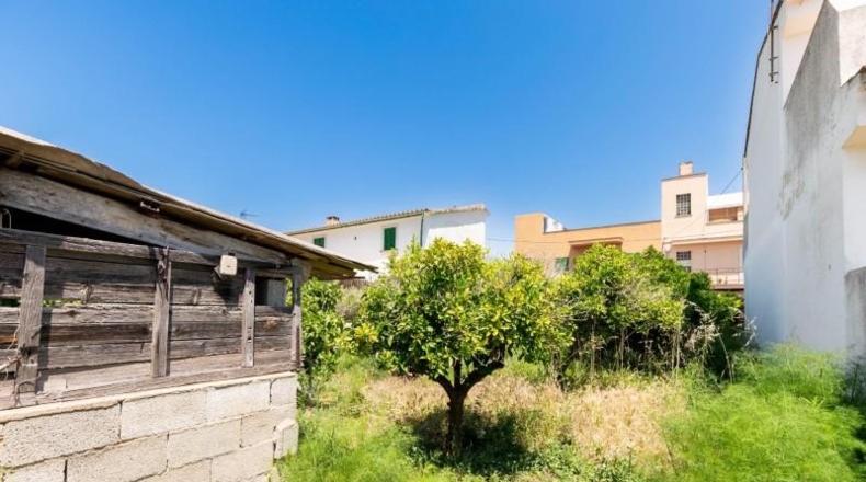 Islas Baleares - Palma - 265m2