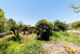 Palma 265&nbsp;m²