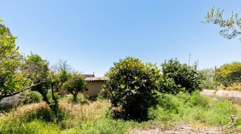 Islas Baleares - Palma - 265m2