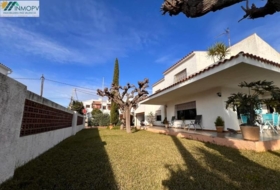 Vinaròs 569&nbsp;m² 