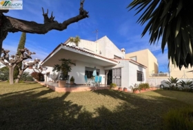 Vinaròs 569&nbsp;m² 