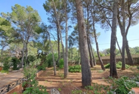 Alzira 1915&nbsp;m²