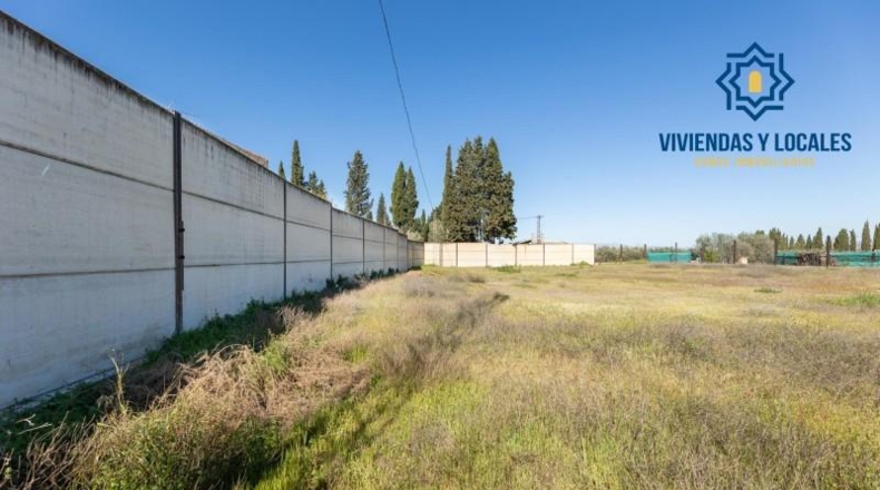 Granada - La Zubia - 2420m2