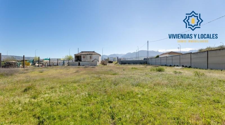 Granada - La Zubia - 2420m2
