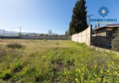 Detached villa with land for sale on España, La Zubia, ref: TR405406 photo