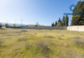 Detached villa with land for sale on España, La Zubia, ref: TR405406 photo