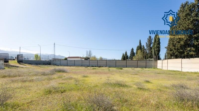 Granada - La Zubia - 2420m2