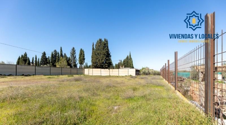 Granada - La Zubia - 2420m2