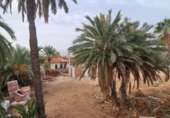 Chalet independiente con terreno en venta en la España, Cartagena, ref: TR248709 foto