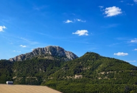 Alzira 558&nbsp;m²