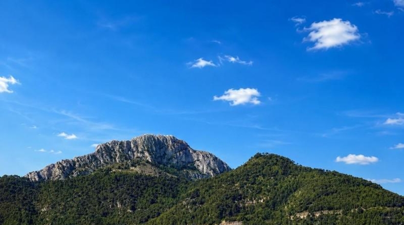 Valencia - Alzira - 558m2